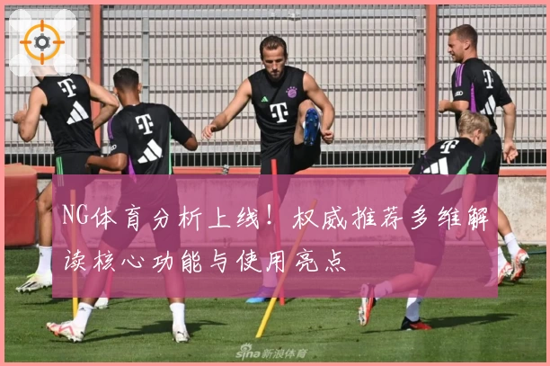 NG体育分析上线!权威推荐多维解读核心功能与使用亮点