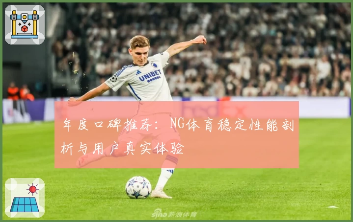 年度口碑推荐：NG体育稳定性能剖析与用户真实体验
