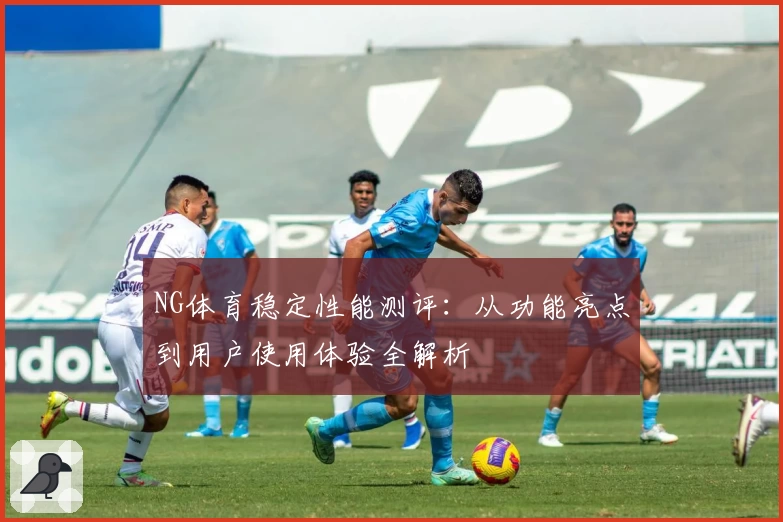 NG体育稳定性能测评:从功能亮点到用户使用体验全解析