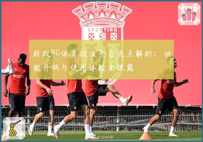 新版NG体育投注平台亮点解析:功能升级与使用体验全披露