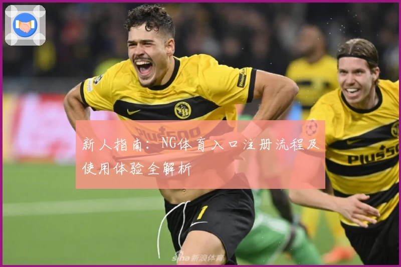 新人指南：NG体育入口注册流程及使用体验全解析