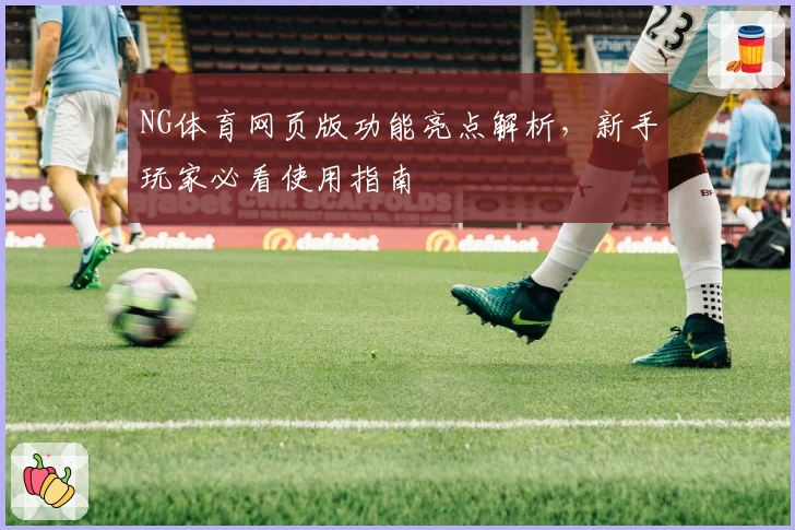 NG体育网页版功能亮点解析,新手玩家必看使用指南